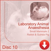 Image of Laboratory Animal Anaesthesia - Rabbit & Guinea Pig