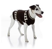 Image of The Digger Dog™   on UncommonPaws.com