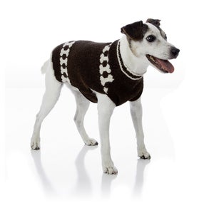 Image of The Digger Dog™ in the category on Uncommon Paws.