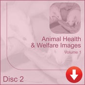 Image of Animal Health and Welfare Images