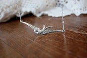 Image of Golondrina Vintage