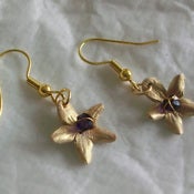 Image of rose crystal earrings