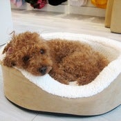 Image of Fleece Bed, Small