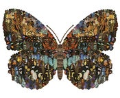 Image of Sharon Elphick<br>Butterfly (large)