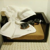Image of Leather Bed
