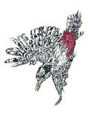 Image of Woodpecker 