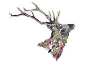 Image of Susie Wright- Stag Head