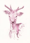 Image of Susie Wright- Fawn
