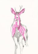 Image of Susie Wright- Fluro Deer