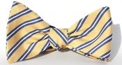 Image of Yellow and Blue Bow-Tie