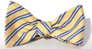 Image of Yellow and Blue Bow-Tie