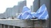 Image of Baby Blue Bow-Tie