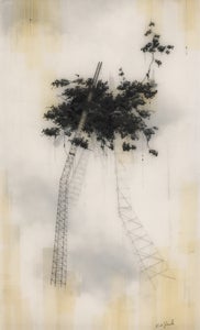 Image of Nest High