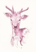 Image of Fawn Risograph Print