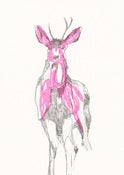 Image of Flouro Stag Risograph Print