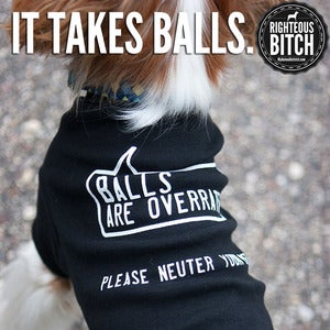 Image of It Takes Balls Tee
