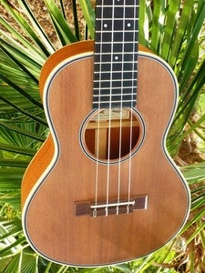 Image of LoPrinzi Model MC Tenor