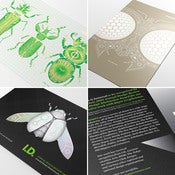 Image of Measure Bug Promotion