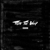 Image of TASTE THE WHIP ZINE