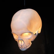Image of 'Goliath' Pendant Skull Lamp.