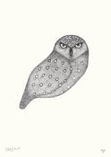 Image of Claire Hartigan<br>Burrowing Owl
