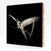 Image of Pele, Blue & Gold Macaw #1