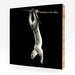Image of Fuego, Kinkajou #1