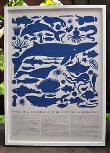 Image of Marine Animals Print - Pacific Northwest
