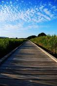 Image of Board walk
