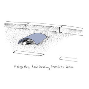 Image of A prickly situation