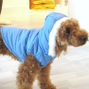 Image of Puffer Jacket