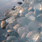 Image of hand-formed cast rock - single
