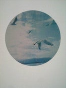 Image of Flock