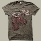 Image of Antix "High Moose" (Tri Coffee)
