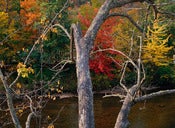 Image of Photograph, 'Adirondack Afternoon' 2001; "HUDSON RIVER" Series 