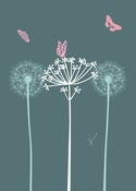 Image of Cow Parsley Print 