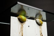 Image of Justin Beal, <i>Untitled (Lime Table)</i>, 2010