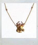Image of Dear Alex Deer