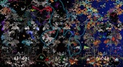 Image of Photograph, 'Confused by Butterflies' 2010; "DIGITAL" Series