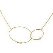 Image of DIVINE LASSO