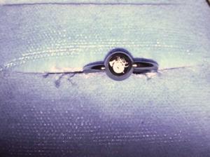 Image of LSP NIPPLE RING/EARING (MADE OF SURGICAL STEEL)