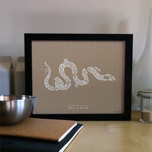 Image of NYC or DIE