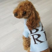Image of Turtle Neck Sweater (fold over neck)
