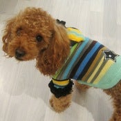 Image of Hooded Mexican Sweater