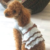 Image of Sweater Dress