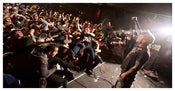 Image of CRO MAGS 12"x24" Print