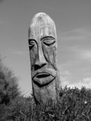 Image of Abel Tasman A3 Poster