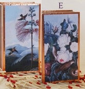 Image of Thornton Botanical Matchboxes E~H