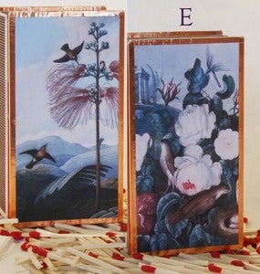Image of Thornton Botanical Matchboxes E~H