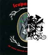 Image of Leopard Leg / T.I.T.S. 'Split' Double LP